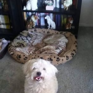 Meet your Posher, Patricia